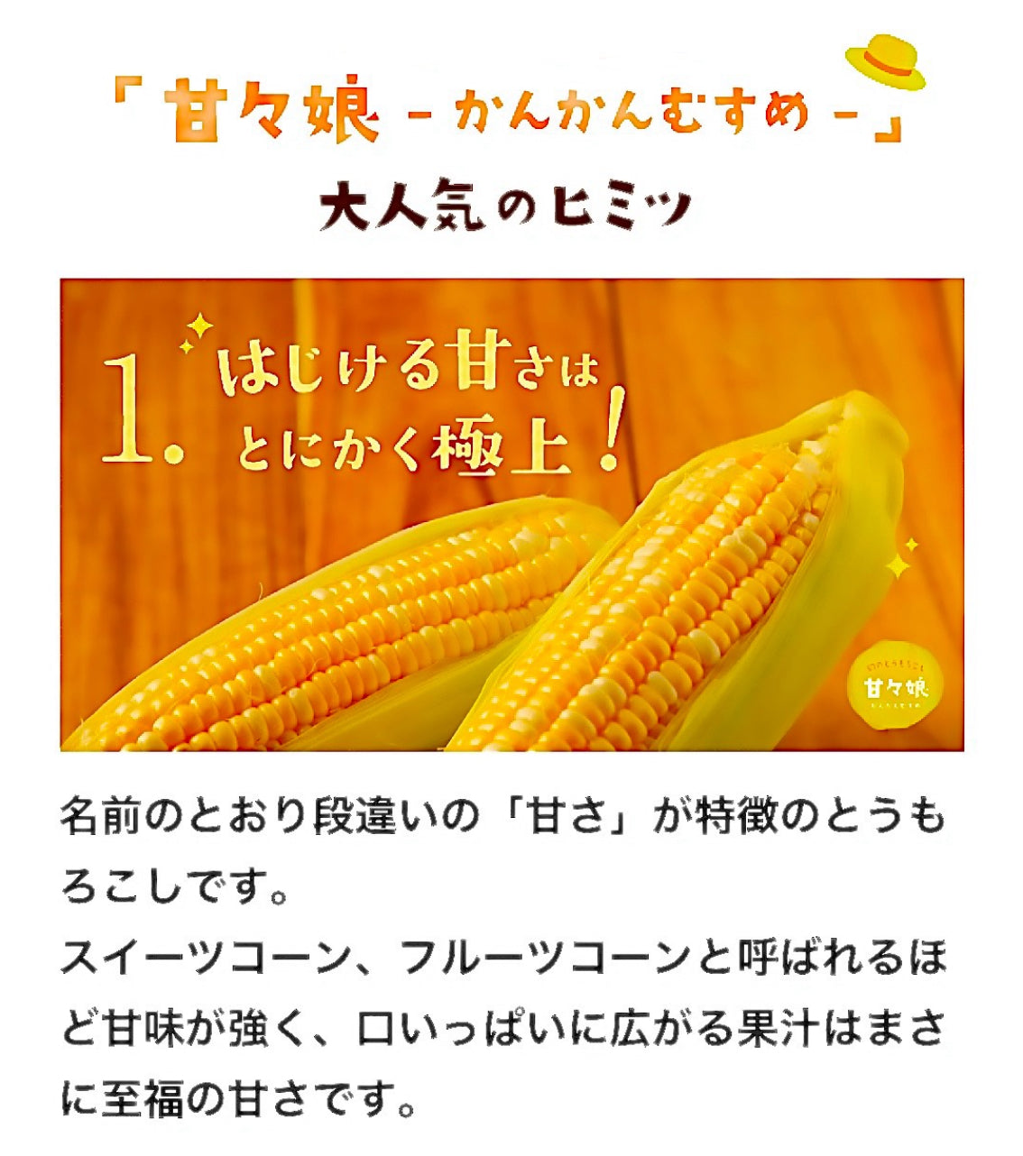 予約注文【収穫できしだい発送開始】甘々娘or甘太郎　静岡県産とうもろこし　贈答用4〜6本入り　お試しセット　鮮度保持フィルム個包装（電子レンジでチン！）