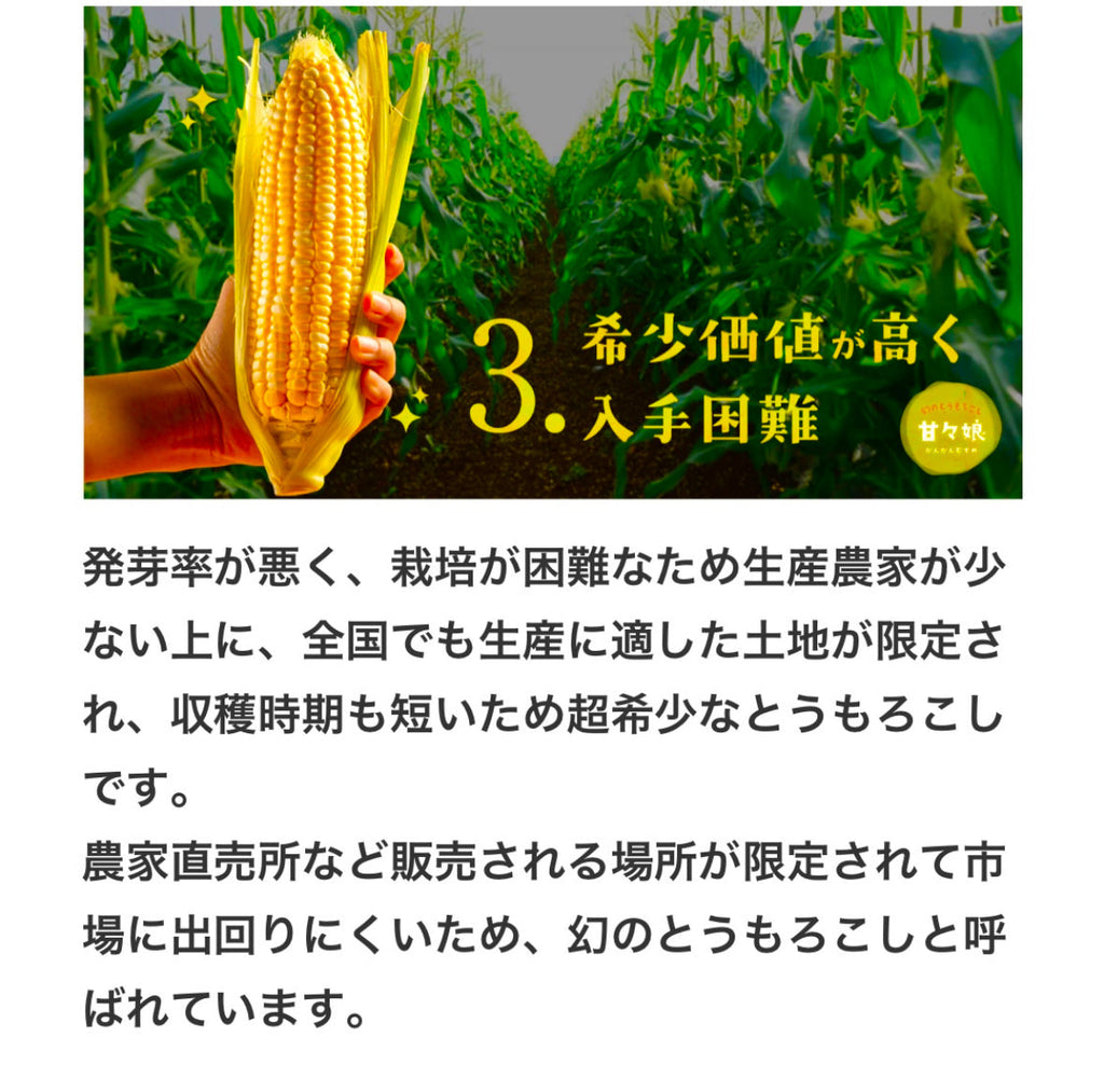 レンちん！コーン「甘々娘or甘太郎」4~6本入り　お中元用　小箱