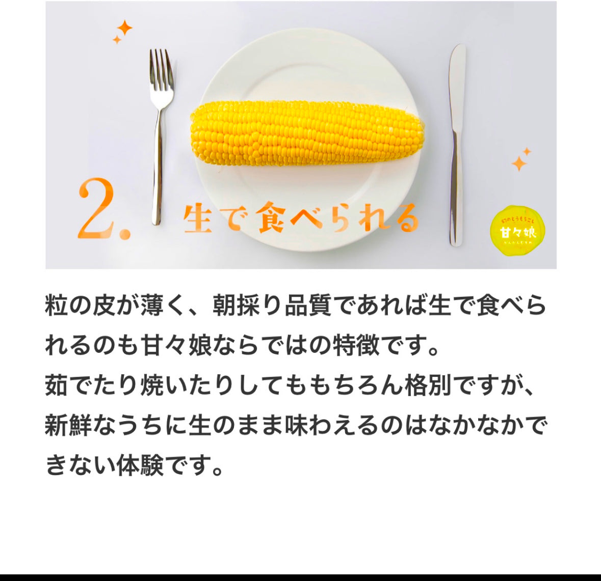 レンちん！コーン「甘々娘or甘太郎」4~6本入り　お中元用　小箱