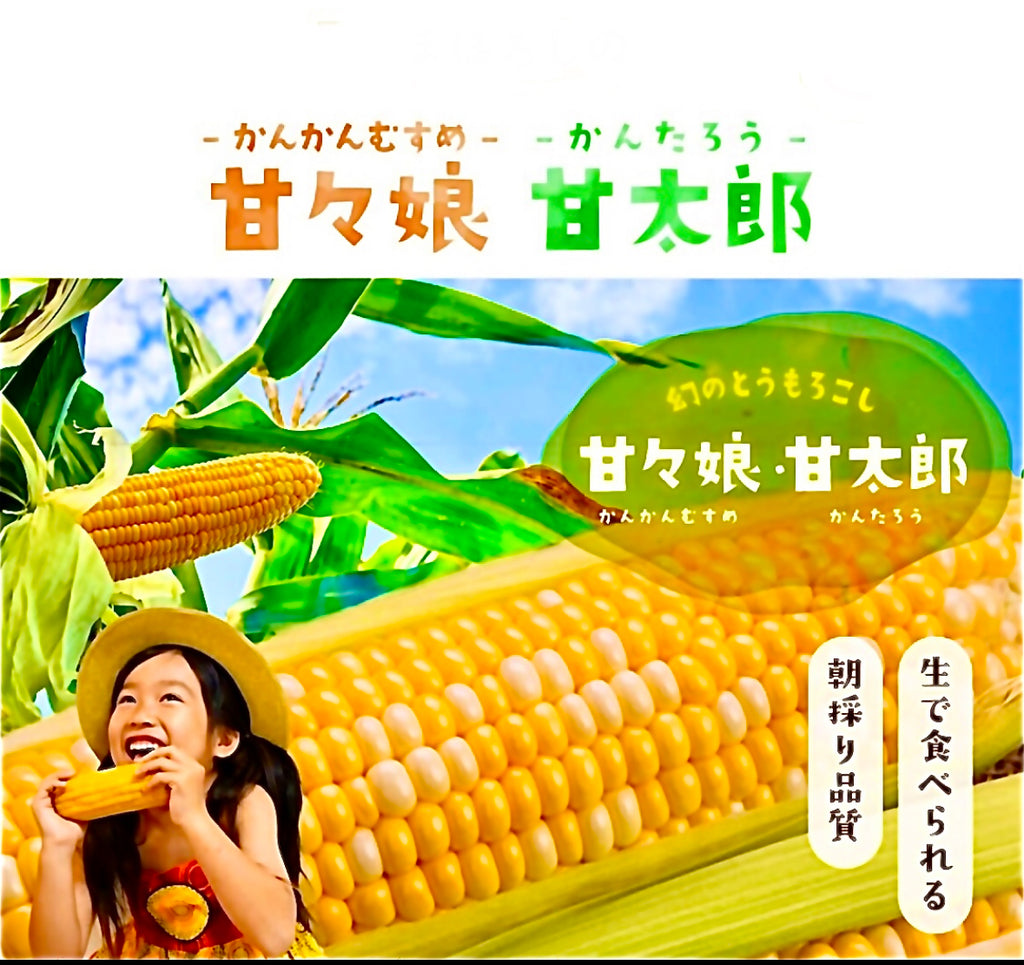 予約注文【収穫できしだい発送開始】甘々娘or甘太郎　静岡県産とうもろこし　贈答用4〜6本入り　お試しセット　鮮度保持フィルム個包装（電子レンジでチン！）