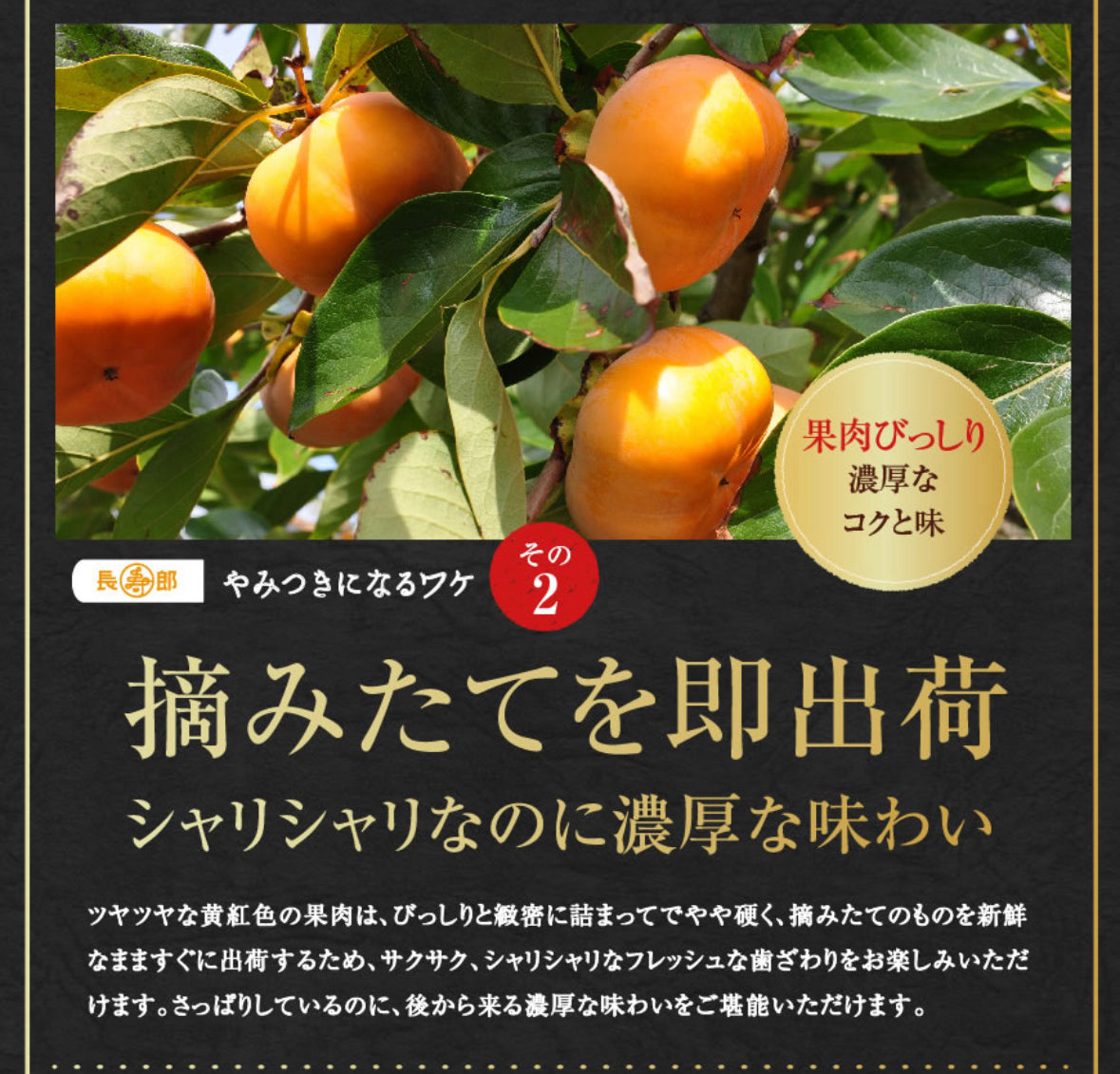 ご自宅用　テルの次郎柿を予約しよう！　テルの次郎柿　家庭用　10～14玉
